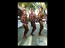 mrmusclebeach20101 (182)